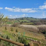 La Selva Daire *
